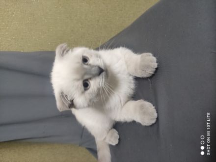 Hallöchen ihr Lieben, wenn ihr auf der Suche nach einem