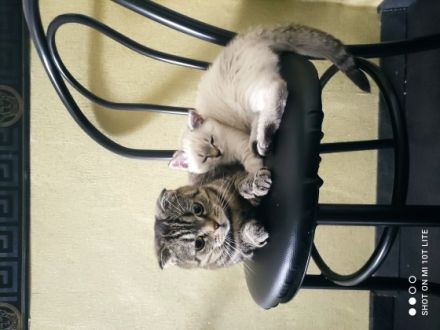 Hallöchen ihr Lieben, wenn ihr auf der Suche nach einem