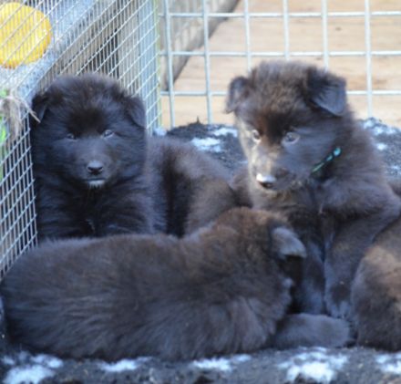 vom Motodrom seit 1982