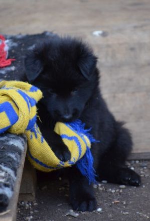 vom Motodrom seit 1982