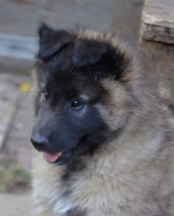 vom Motodrom seit 1982