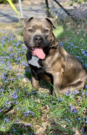 Wir haben uns schweren Herzens dazu entschieden, für