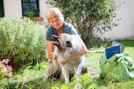 Katja Herbst - Mobile ganzeitliche Tierheilpraxis für Berlin und Brandenburg