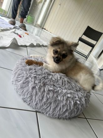 Halli hallo Ihr lieben da draußen! Wir sind eine