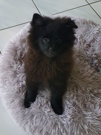 Halli hallo Ihr lieben da draußen! Wir sind eine