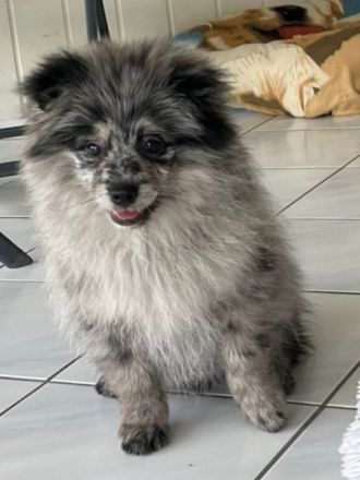 Halli hallo Ihr lieben da draußen! Wir sind eine