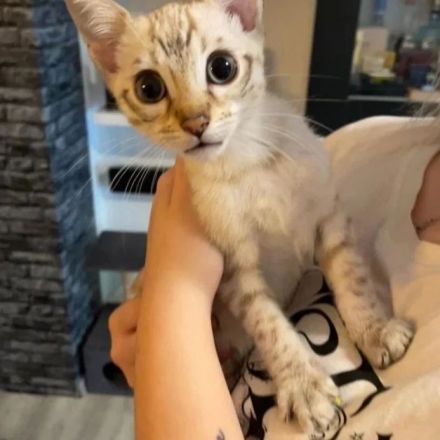 Unser Nesthäkchen darf uns verlassen