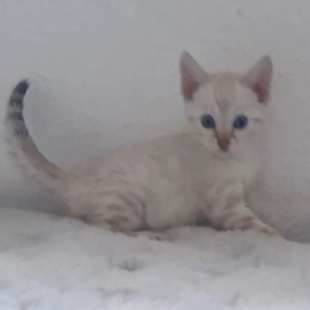 Unser Nesthäkchen darf uns verlassen