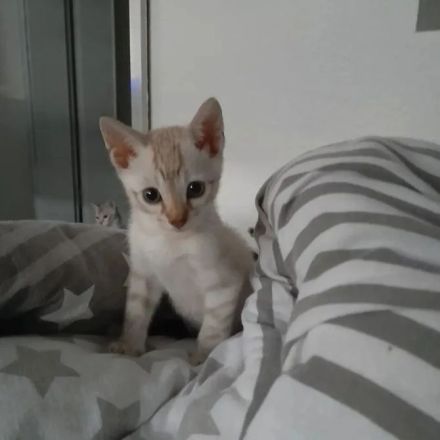 Unser Nesthäkchen darf uns verlassen