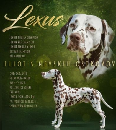 Wir planen im Frühjahr 2023 unseren A-Wurf mit unserer