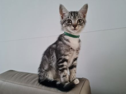 Wir können ab sofort ausziehen. Schwarz weiß ein