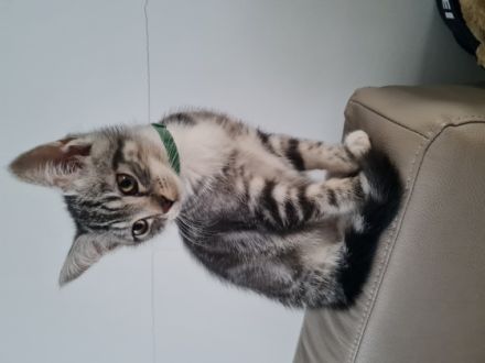 Wir können ab sofort ausziehen. Schwarz weiß ein