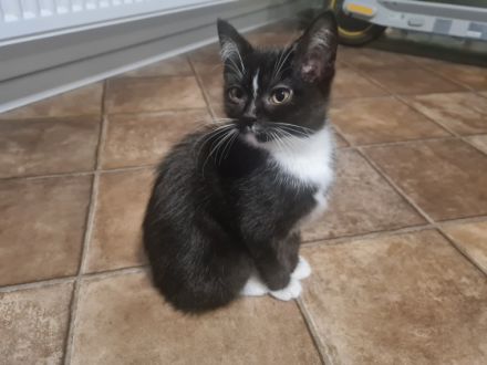 Wir können ab sofort ausziehen. Schwarz weiß ein