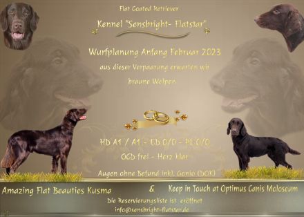 Wir erwarten ca ab dem 6.Februar 2023 reinrassige