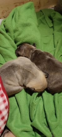 Unsere knutschbärchen sind am 20 Oktober geboren