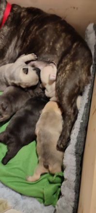 Unsere knutschbärchen sind am 20 Oktober geboren