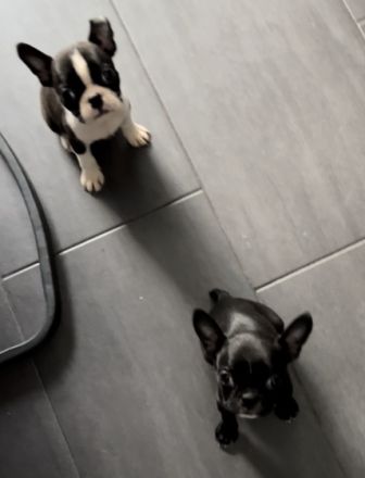 Leider ist die Zeit gekommen das wir uns schweren