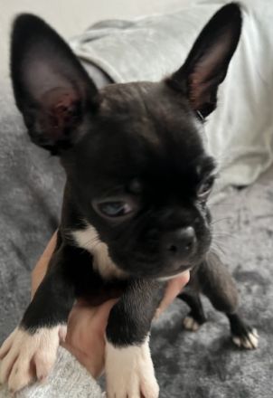 Leider ist die Zeit gekommen das wir uns schweren