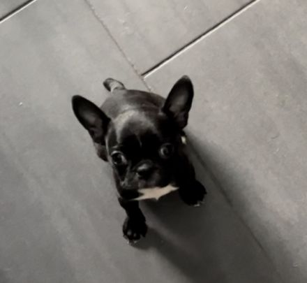 Leider ist die Zeit gekommen das wir uns schweren