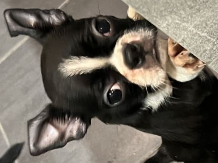 Leider ist die Zeit gekommen das wir uns schweren