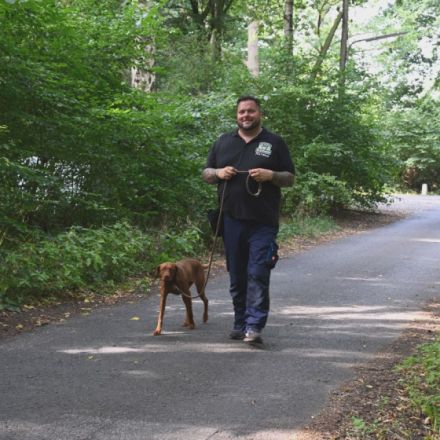 Niendogs - Hundeschule der Nordens Hamburg Niendor