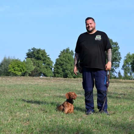 Niendogs - Hundeschule der Nordens Hamburg Niendor