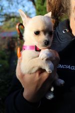 Moin ,wir sind am 12.09.2022 geboren und suchen ab dem