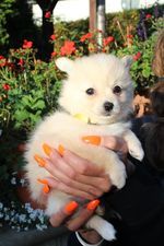 Moin ,wir sind am 12.09.2022 geboren und suchen ab dem