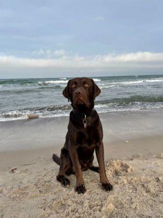 Herzlich Willkommen …. Unsere süßen haben am 12.10. das