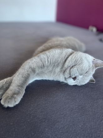 Hallo zusammen, unsere Bade hat am 06.06 6 gesunde