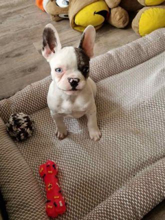 Aus familiären Gründen müssen wir uns leider von