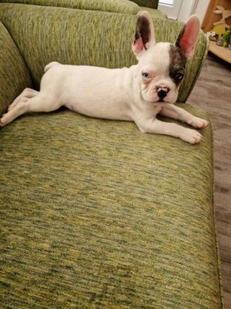 Aus familiären Gründen müssen wir uns leider von