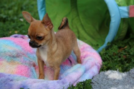 Wir stehen da mit gepackten Köfferchen und dieser