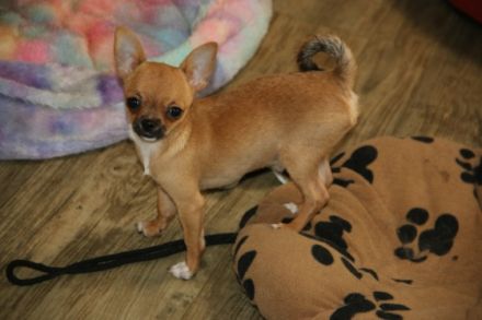 Wir stehen da mit gepackten Köfferchen und dieser