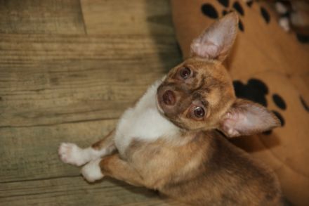 Wir stehen da mit gepackten Köfferchen und dieser
