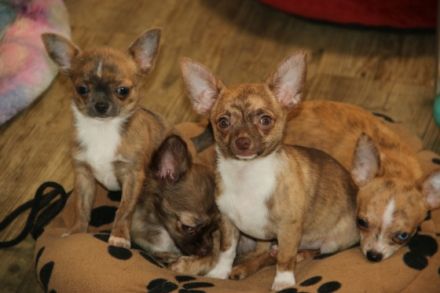 Wir stehen da mit gepackten Köfferchen und dieser