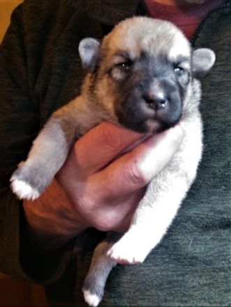 Hallo Du! Unsere Mama hat uns am 19. Oktober auf die