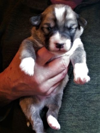 Hallo Du! Unsere Mama hat uns am 19. Oktober auf die