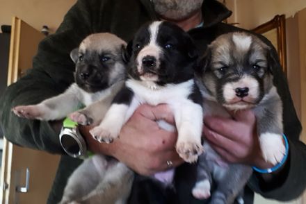 Hallo Du! Unsere Mama hat uns am 19. Oktober auf die