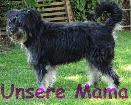 Hallo Du! Unsere Mama hat uns am 19. Oktober auf die