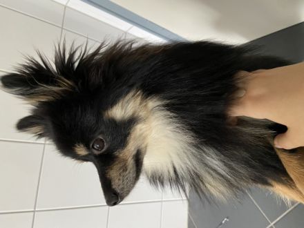 Spikey, Hallo, ich muss mich aus einigen privaten