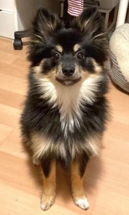 Spikey, Hallo, ich muss mich aus einigen privaten