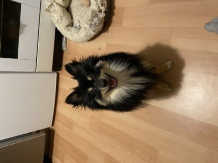 Spikey, Hallo, ich muss mich aus einigen privaten