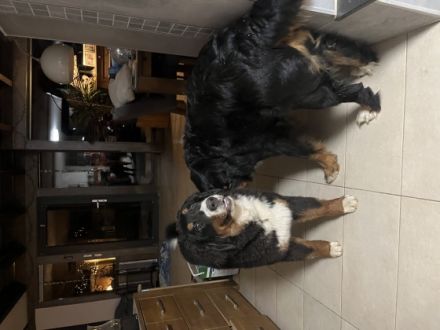 Unsere Kleine Emma ist ein halbes Jahr alt und