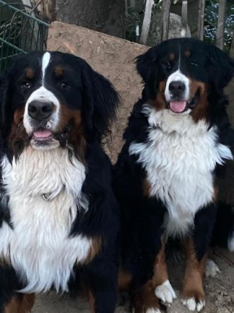 Unsere Kleine Emma ist ein halbes Jahr alt und