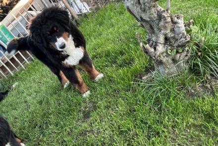 Unsere Kleine Emma ist ein halbes Jahr alt und