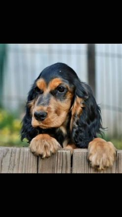 1 Mädchen und 2 Buben suchen noch ihre Familien. Die