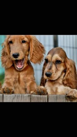 1 Mädchen und 2 Buben suchen noch ihre Familien. Die