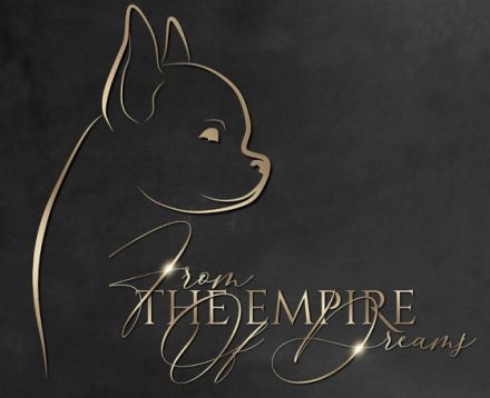 from the Empire of Dreams