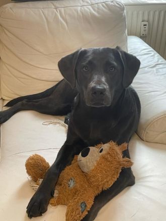 Coco, Aus gesundheitlichen Gründen (Diagnose MS) müssen